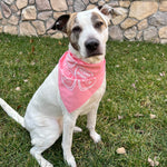 Load image into Gallery viewer, Candy Hearts Dog Bandana
