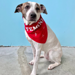 Load image into Gallery viewer, Feminist Dog Bandana