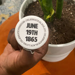 Load image into Gallery viewer, Photo of the Celebrate Button.