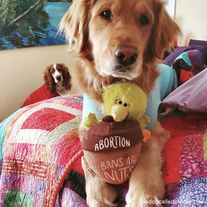 Abortion Bans Are Nuts Plush Dog Toy