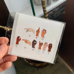 Load image into Gallery viewer, Pro-Choice Sticker Pack
