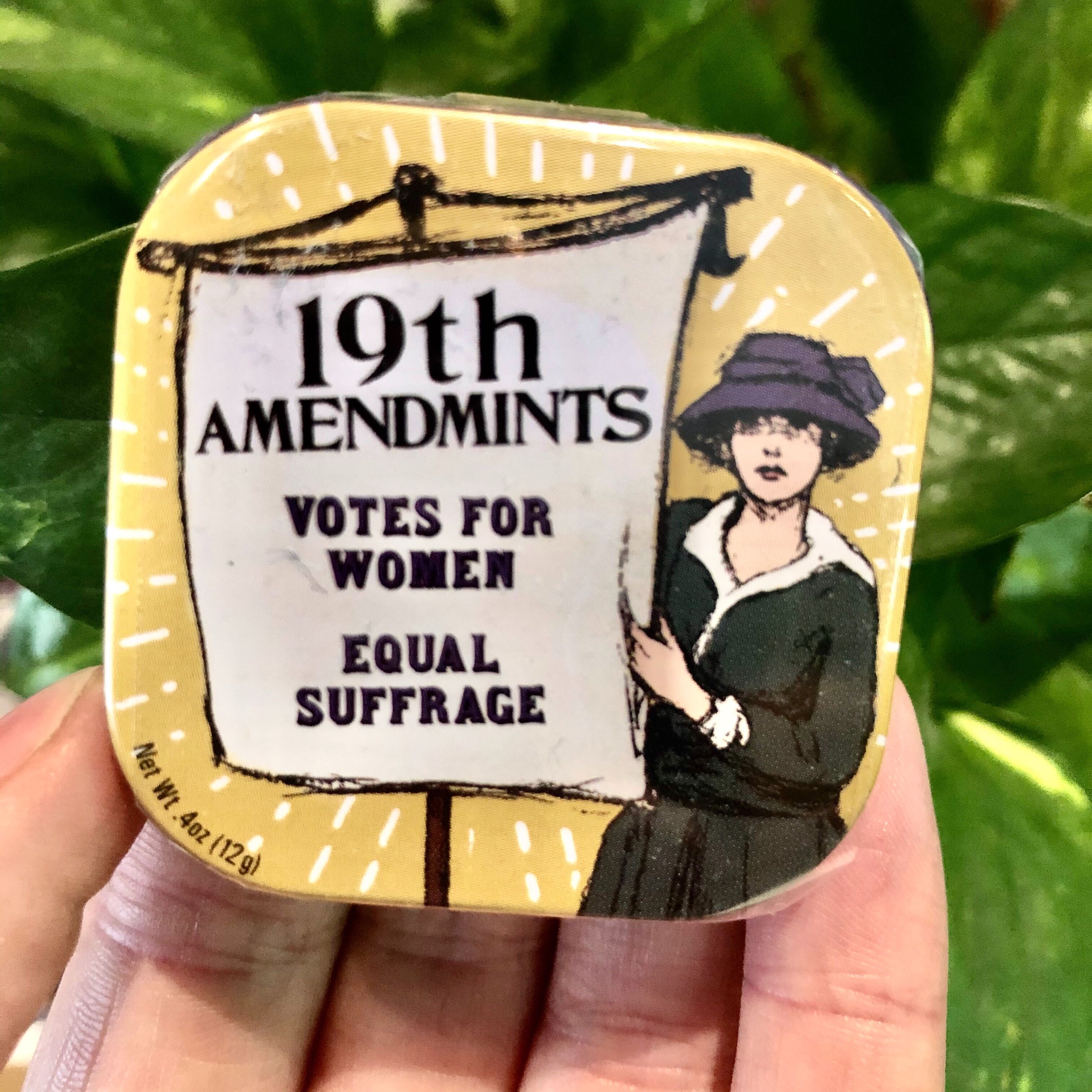 19th Amendmints