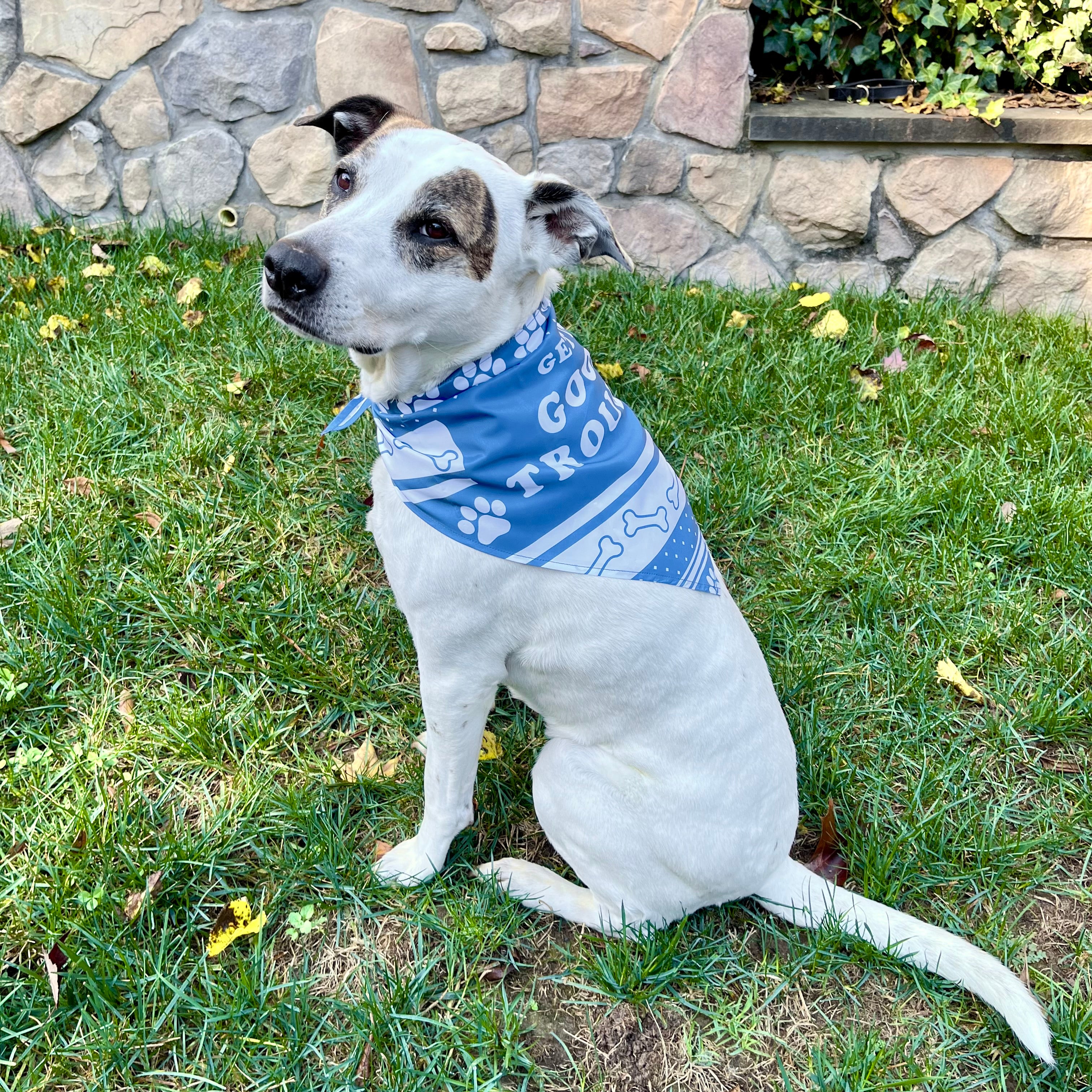 White dog wears a blue bandanna with "Get In Good Trouble" Design with Bones and Pawprints