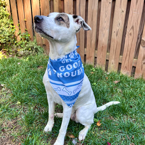 White dog wears a blue bandanna with "Get In Good Trouble" Design with Bones and Pawprints