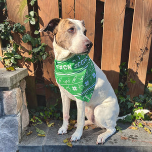 A white dog sitting wears a Green bandana with reproductive Health doodles and "Fa-La-La-La F*ck SCOTUS" Design