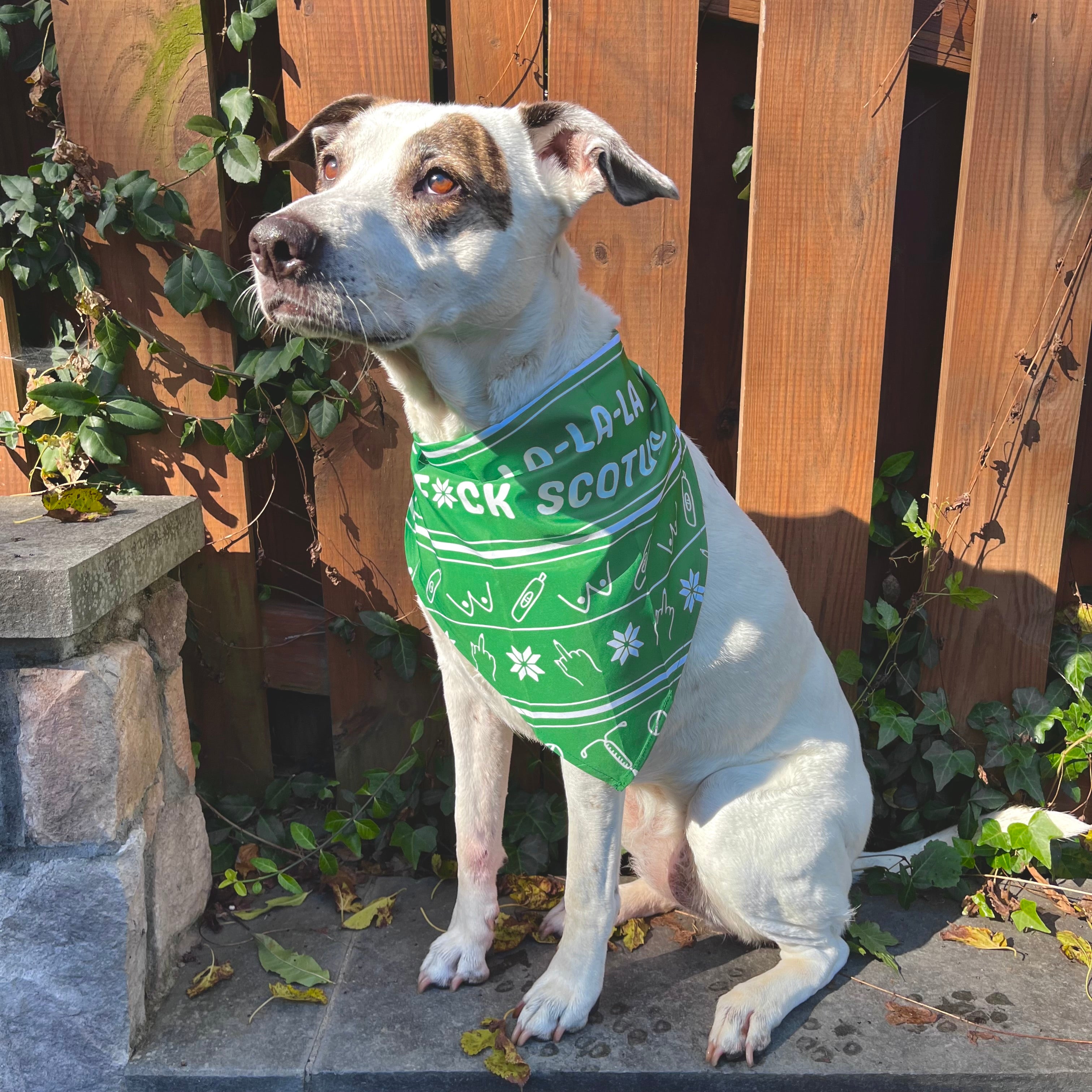 A white dog sitting wears a Green bandana with reproductive Health doodles and "Fa-La-La-La F*ck SCOTUS" Design
