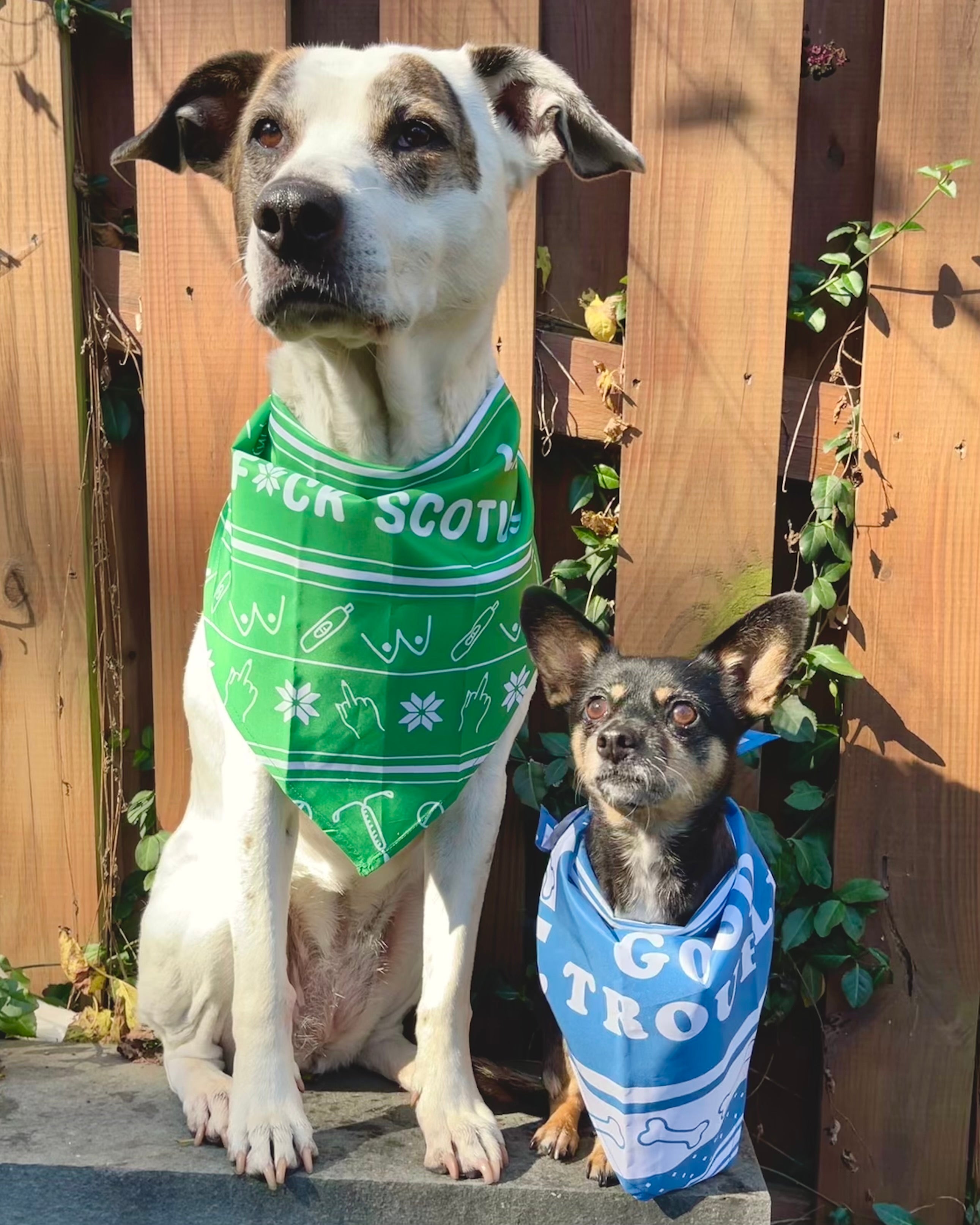 White dog wears "Fa-La-La-La F*ck SCOTUS" green bandana with a little black dog wearing a blue "Get in Good Trouble" Bandana