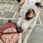 Load image into Gallery viewer, Abortion Bans Are Nuts Plush Dog Toy
