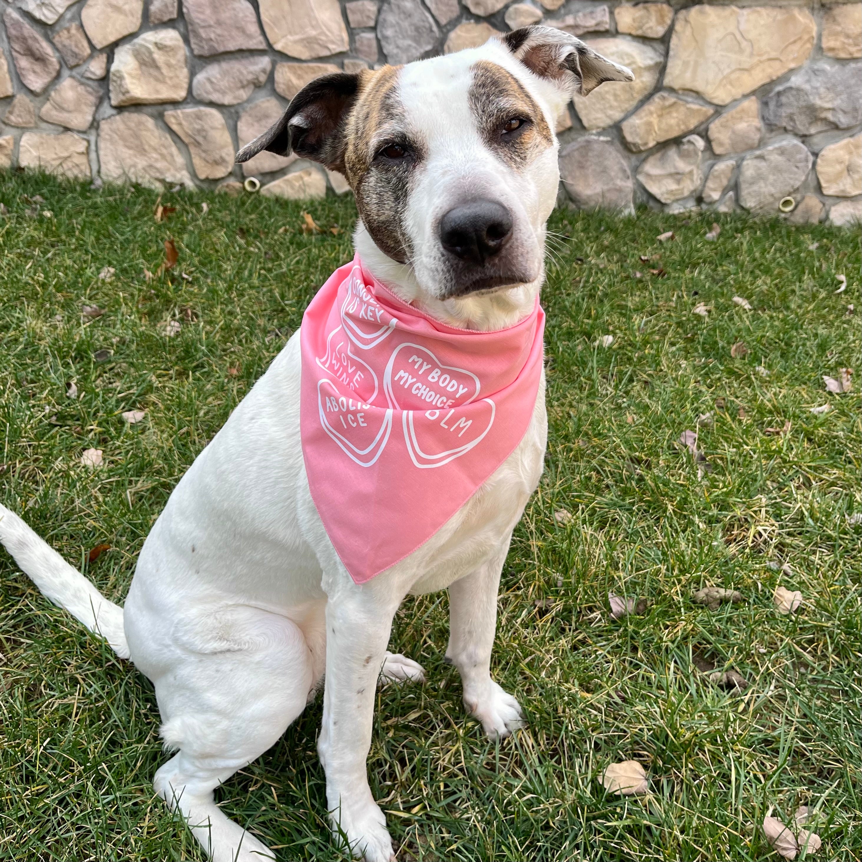 Candy Hearts Dog Bandana