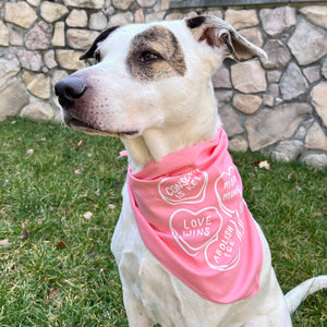 Candy Hearts Dog Bandana