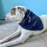 Load image into Gallery viewer, Pups Against The Patriarchy Dog Bandana
