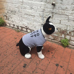 Load image into Gallery viewer, activist dog top
