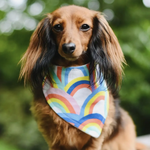 Load image into Gallery viewer, Rainbow Dog Bandana
