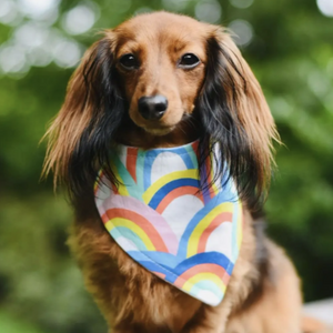 Rainbow Dog Bandana