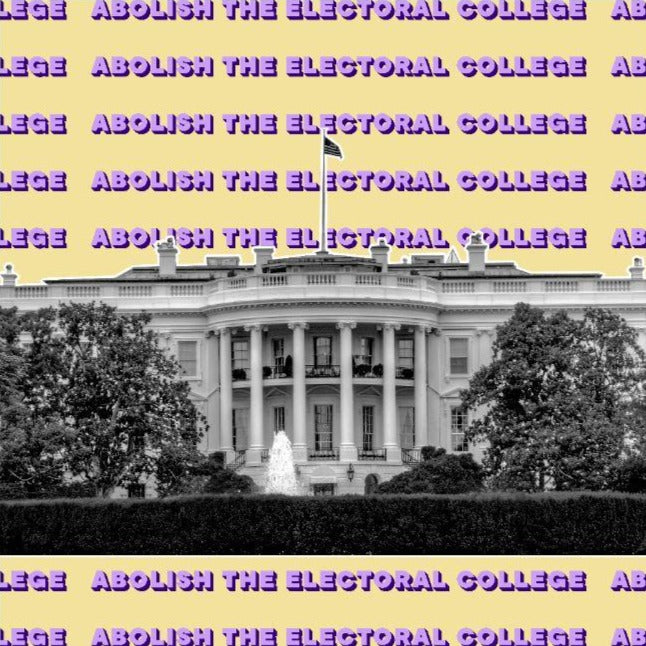Abolish The Electoral College Unisex Tee