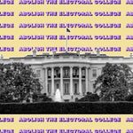 Load image into Gallery viewer, Abolish The Electoral College Unisex Tee
