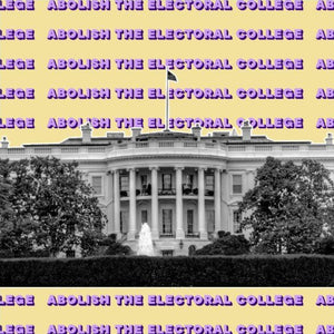 Abolish The Electoral College Unisex Tee